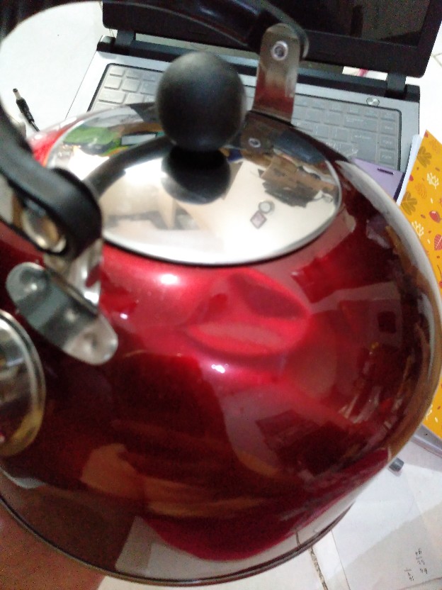 Teko Bunyi 3 Liter Whistling Kettle Stainless Bunyi Bila Mendidih