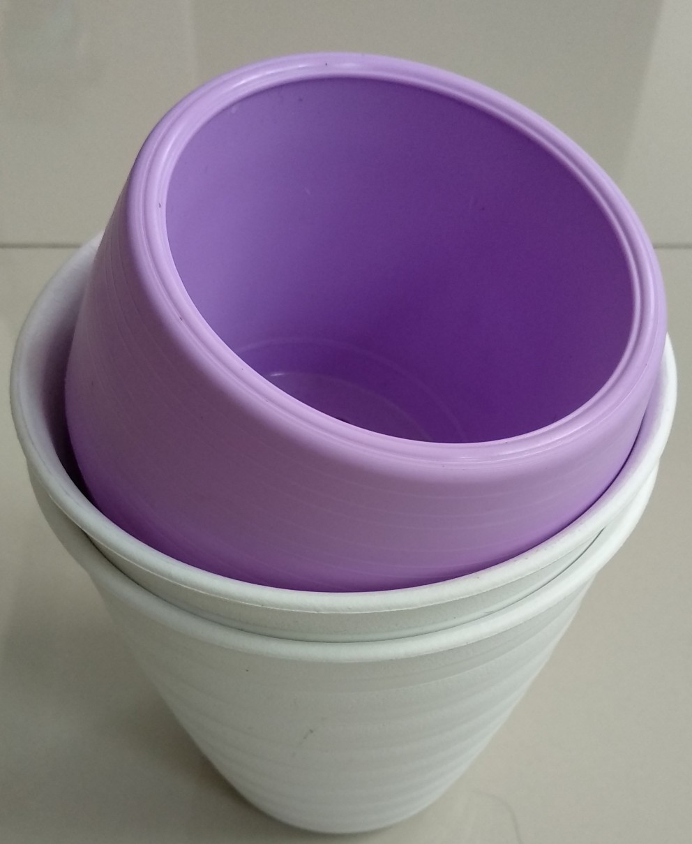 Pot Bunga Tanaman Tawon Putih Tinggi (pirus) 12cm - Mini