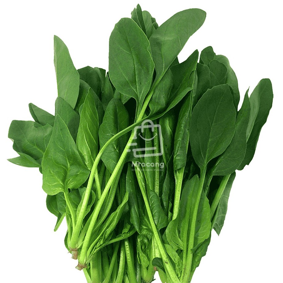 HORENSO / SPINACH - Berat 250gram