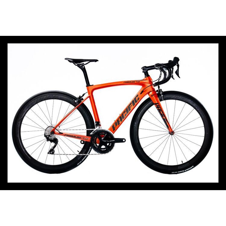 Termurah Pacific Road Bike Carbon Primum 7.0 New Best Seller