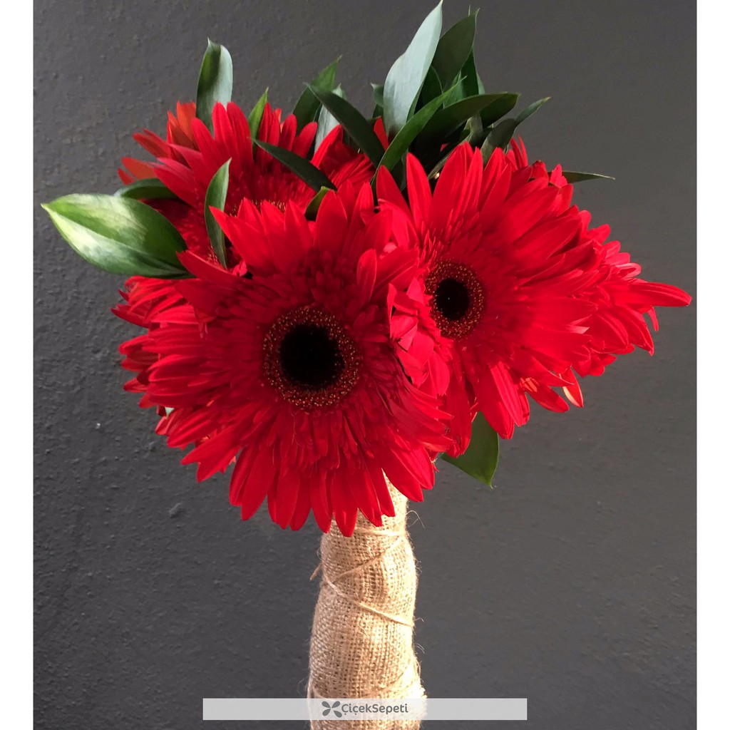 BUNGA GERBERA ASLI - MERAH - BUNGA POTONG