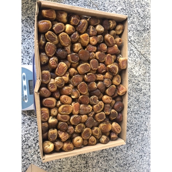 

kurma sukari al qasim
