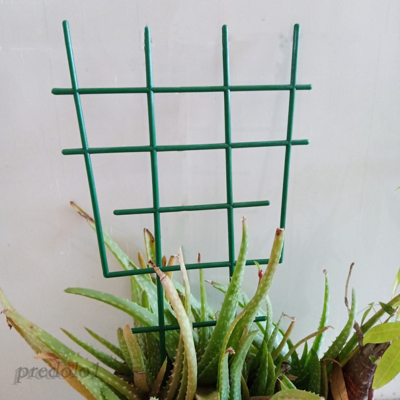 12pcs Trellis Penyangga Tanaman Rambat Mini Tahan Lama Untuk Taman Diy