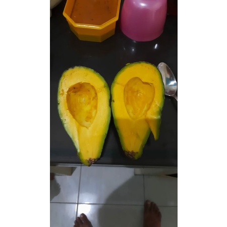 alpukat mentega dan alpukat biasa