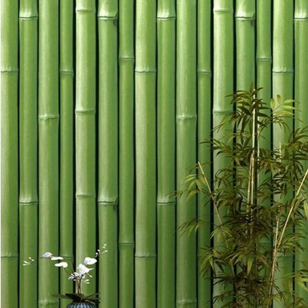 Wallpaper Bambu Rotan Hijau Padat 1 roll