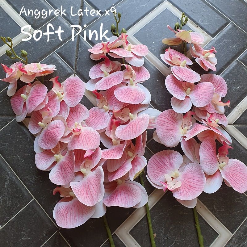 Anggrek Latex x9 Premium ( Tanpa Pot )