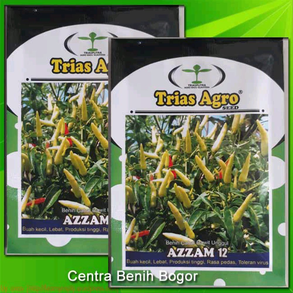 Benih Cabe Rawit Putih AZZAM 10 gram - bibit cabe Limited