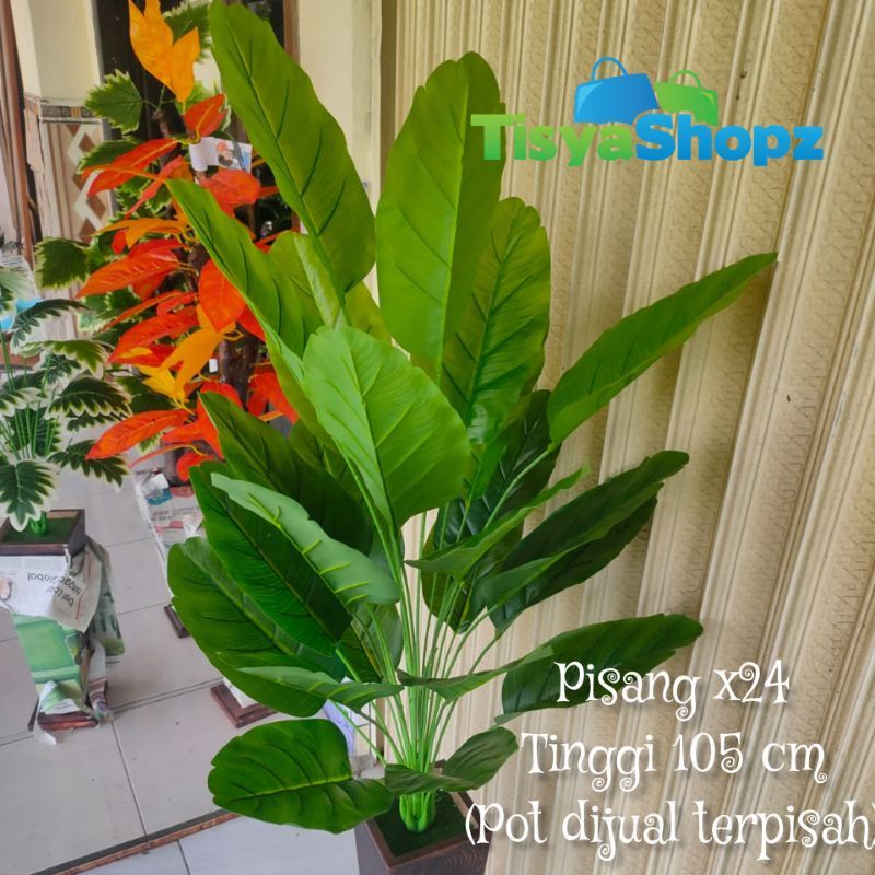 Pohon Pisang Tinggi 1 meter x24 Daun ( TANPA POT )