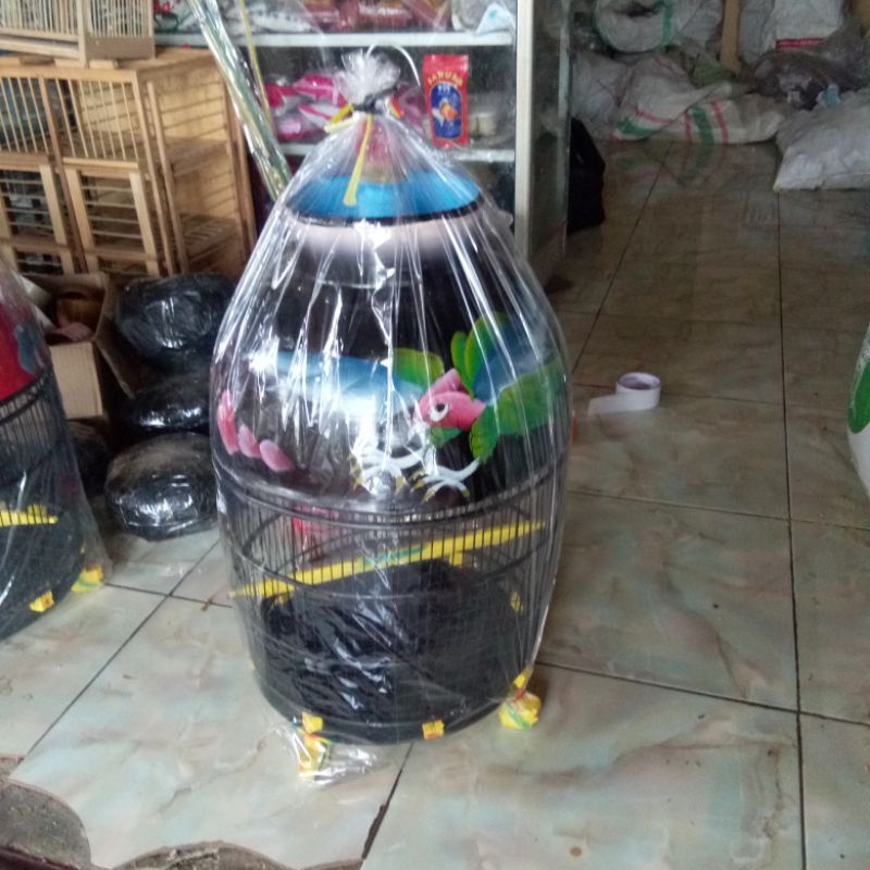 sangkar burung perkutut murah