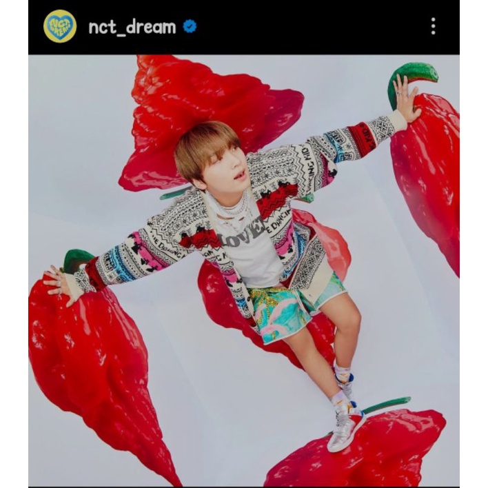 [ready stok] cardigan taeyong Lisa haechan