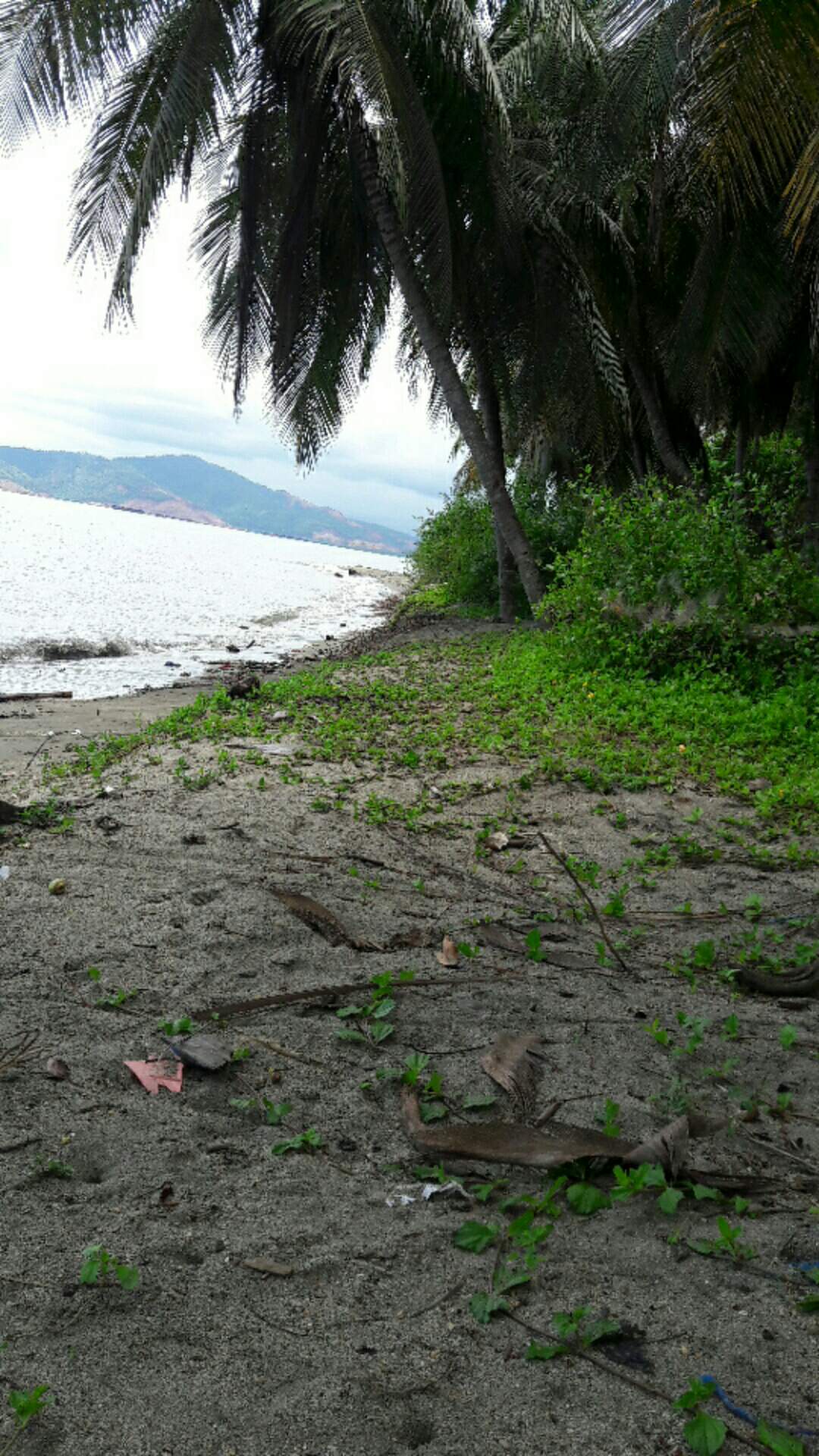 Apron Dada Pvc Anti Air Waterprof Biru Dan Hitam