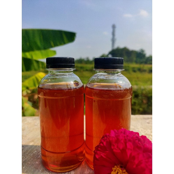 

madu murni apis melifera nektar akasia mangium