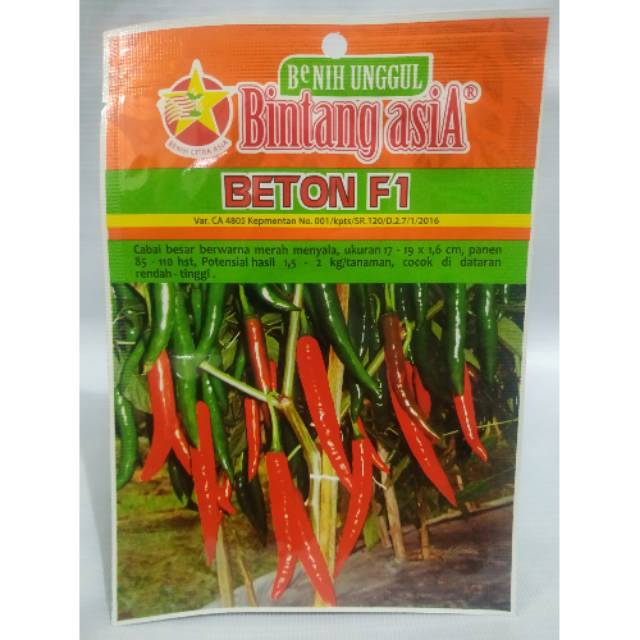 Cabai besar BETON F1 sp