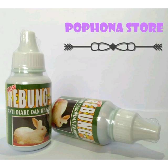 Rebung k 30 ml anti diare dan kembung pada kelinci