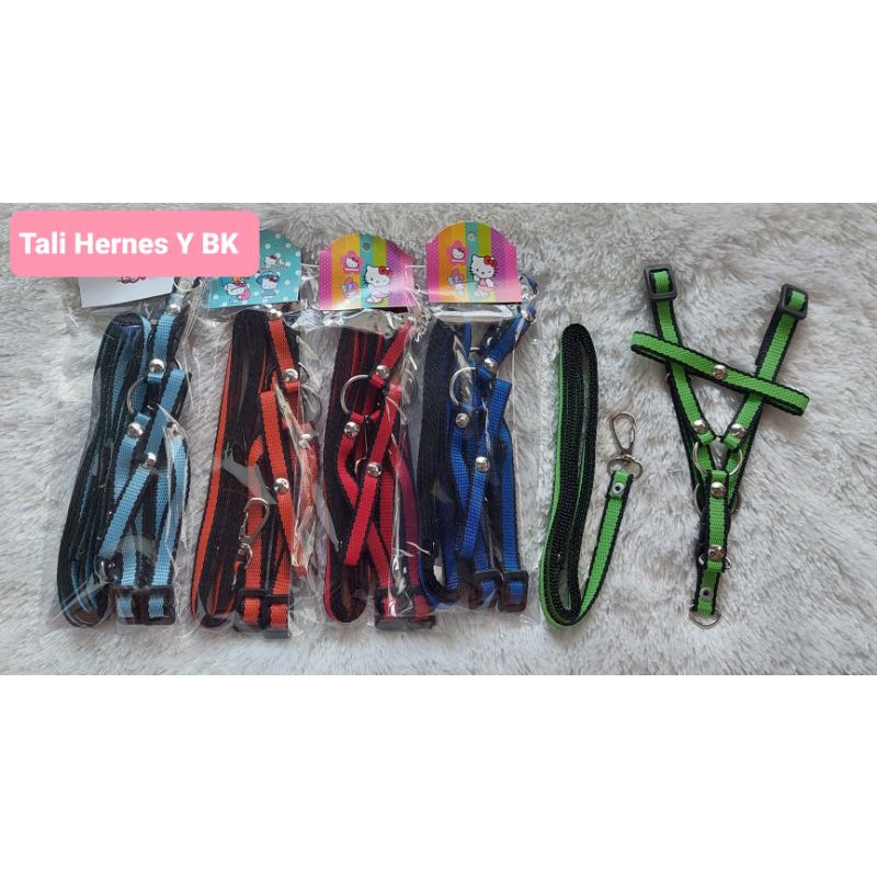 Tali Hernes Y BK Black Edition kucing