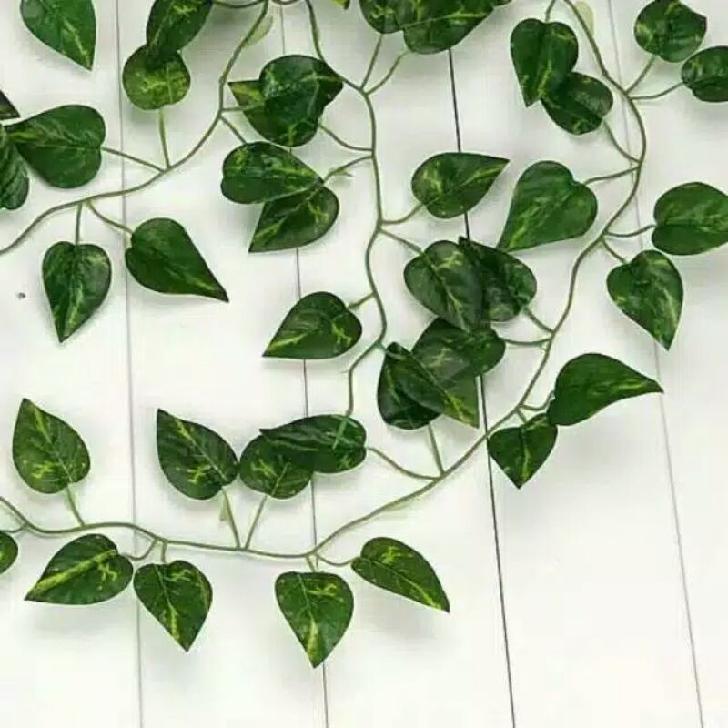 Tanaman merambat hias srigading imitasi 2 meter daun plastik daun rambat plastik daun hias