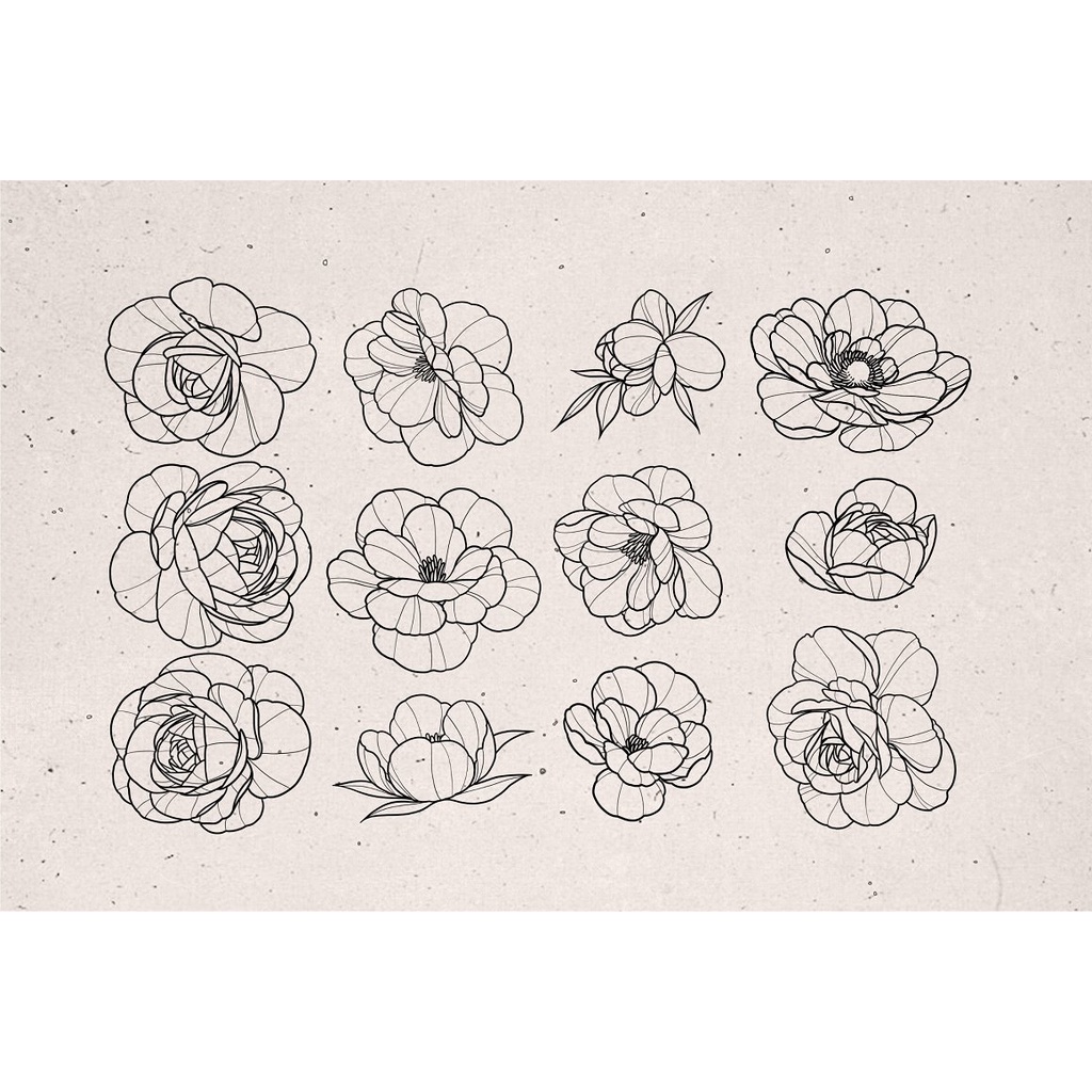 Procreate Brush - Peony Flower Stamps for Procreate