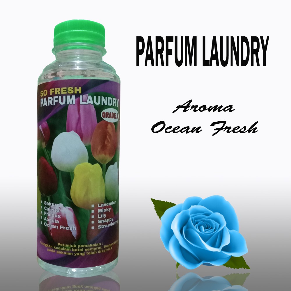 PARFUM LAUNDRY GRADE A AROMA OCEAN FRESH 250 ML