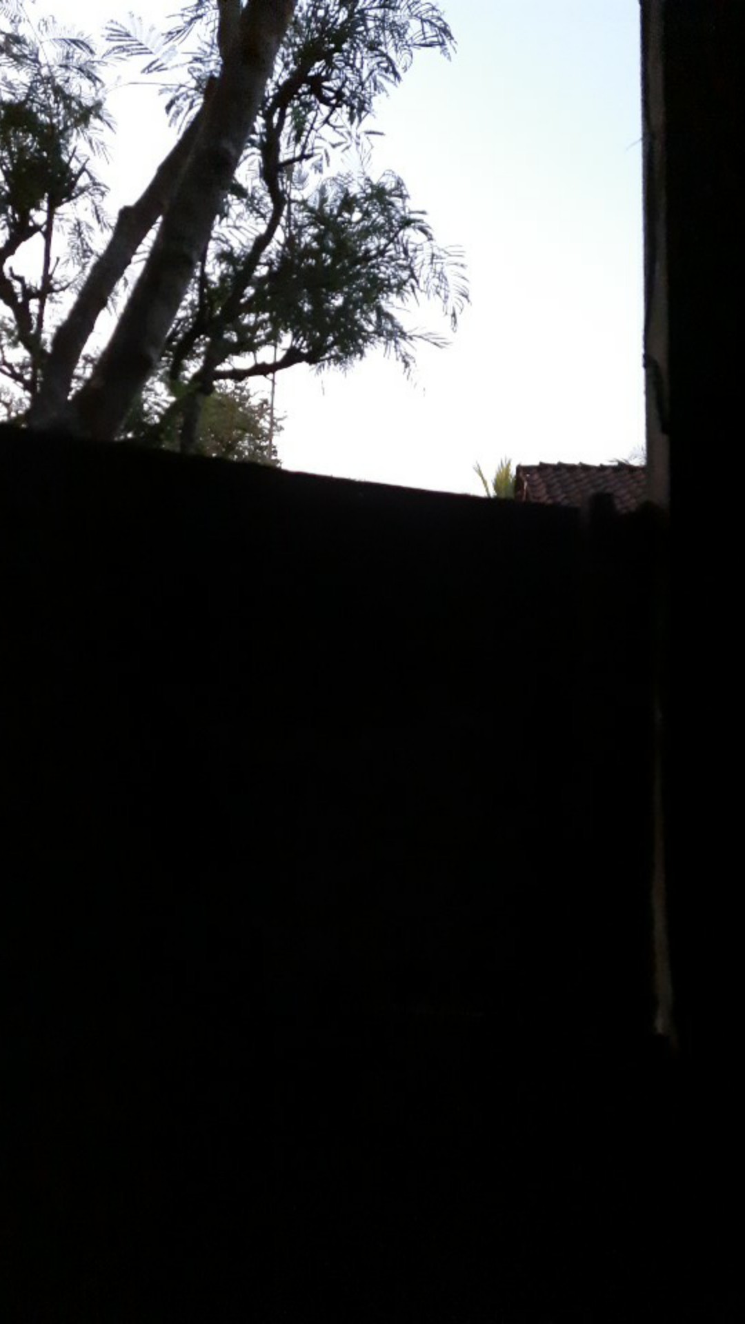 Sanata Kemeja Batik Pria Panjang Full Furing By Batik Dewo