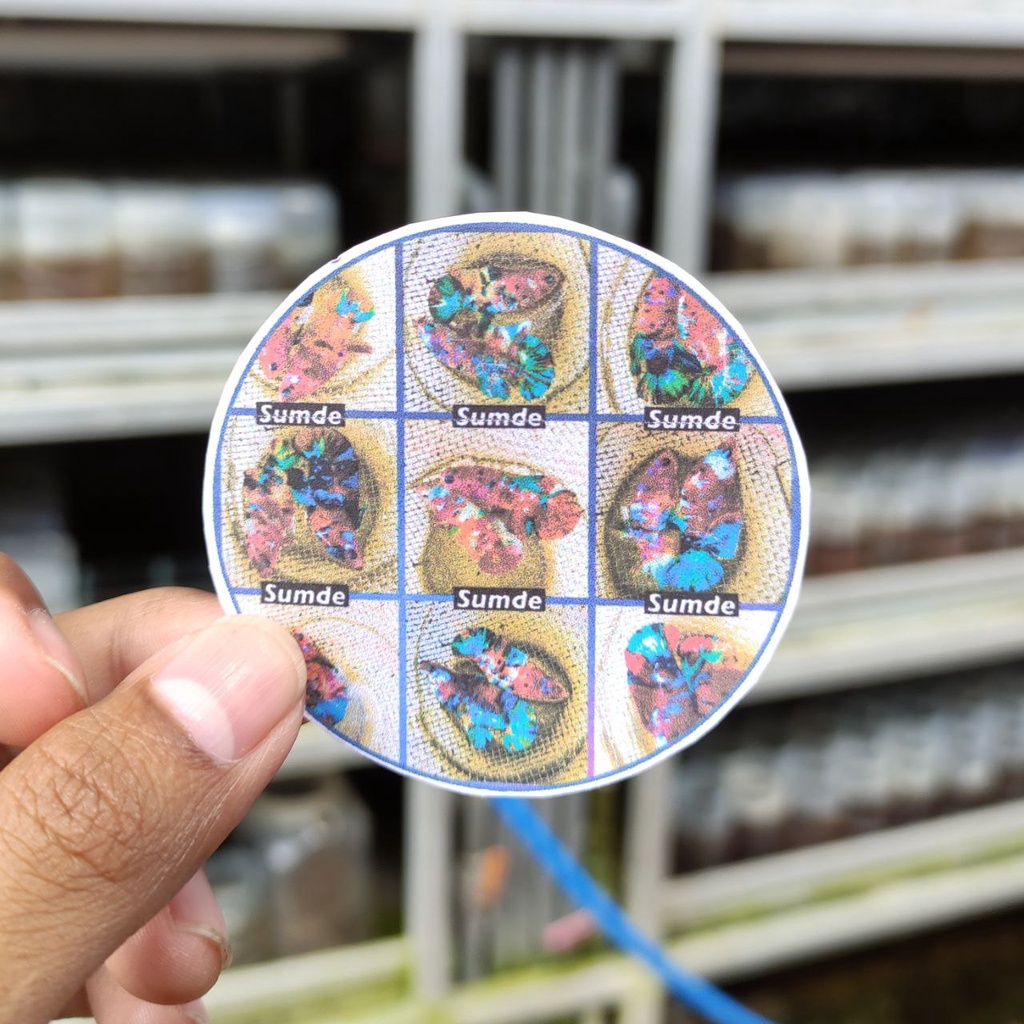 

STIKER DAN POSTER PAKET SEPAIR 20K