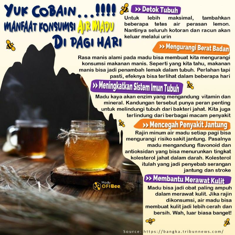 [0,5 kg] Madu Murni Setengah Kilo (Raw Honey) Fresh dan Alami Tanpa Campuran