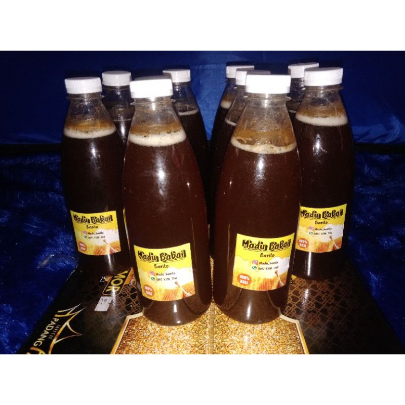 

madu hutan asli barito (buntok/babai) kalteng