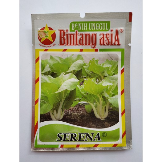 Jual Benih Biji Sawi Batang Putih Serena Pack 25 Gram Shopee Indonesia