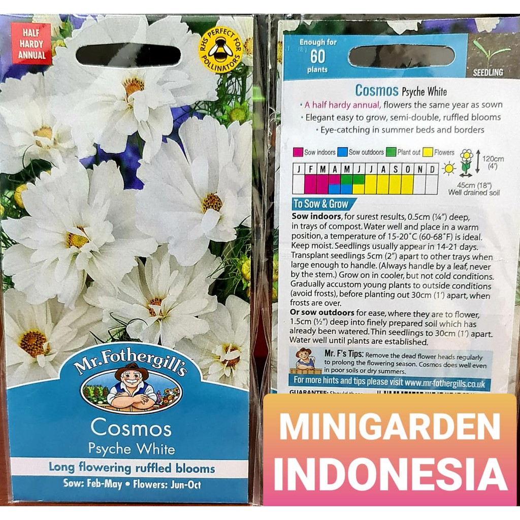 Benih Bunga COSMOS PSYCHE WHITE PACK 60 BIJI Mr. Fothergills bibit tanaman