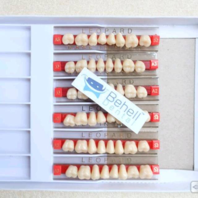 gigi palsu posterior /geraham atas / bawah per papan caiyu  a2 a3 a3.5