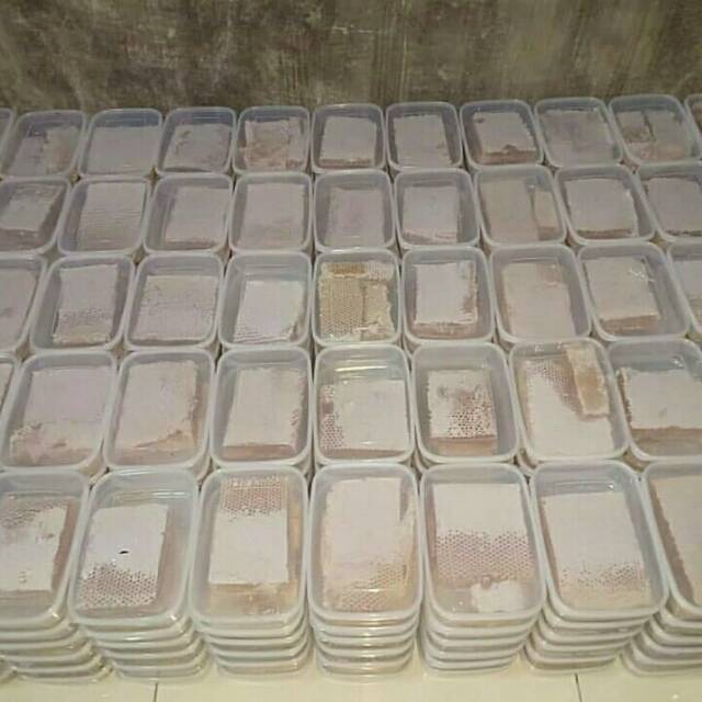 

Madu Sarang 100% Murni