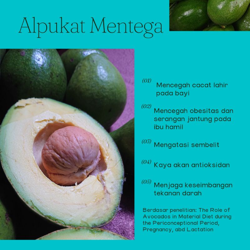 

Alpukat Mentega SUPER