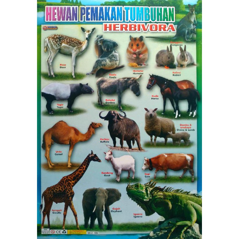

POSTER EDUKASI HEWAN PEMAKAN TUMBUHAN[HERBIVORA]