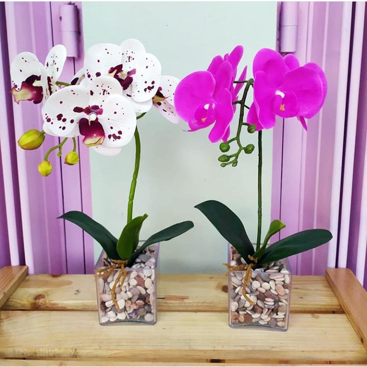 Naindo Anggrek Bulan + Vas kaca Decorasi rumah-hiasan ruang tamu dan kantor-tinggi 35 cm