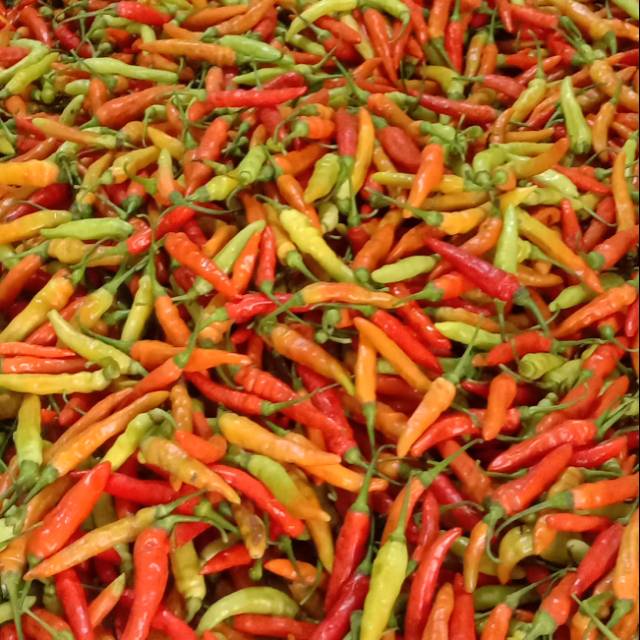 

Cabai rawit merah