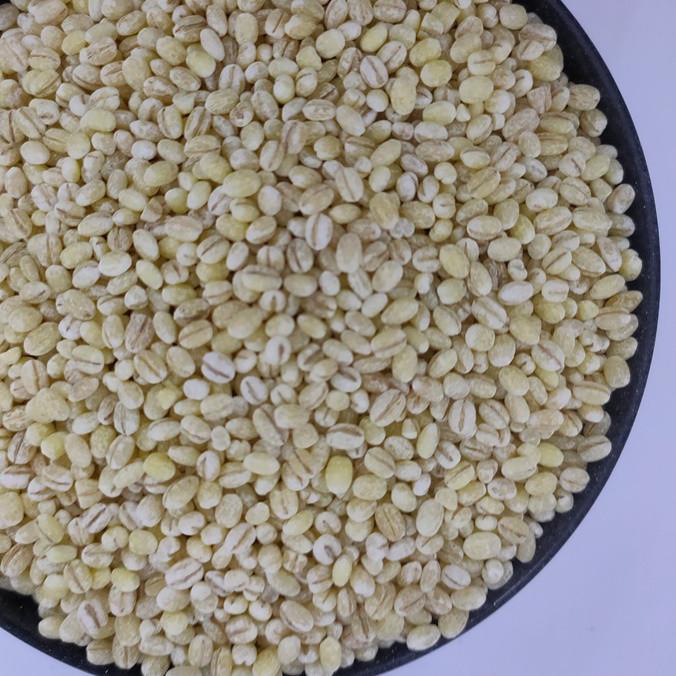 

향 1000gr Barley - Biji Jali - Jali Terlaris