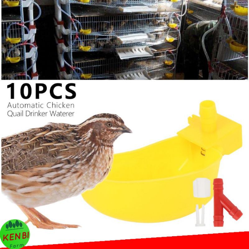 Nipple Nipel PUYUH P1 mangkok lepekkan Tempat Minum puyuh Drinker KENBI_123-1