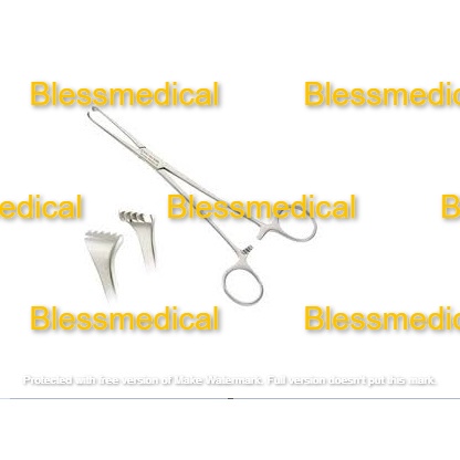 Allis Tissue Forcep Premium