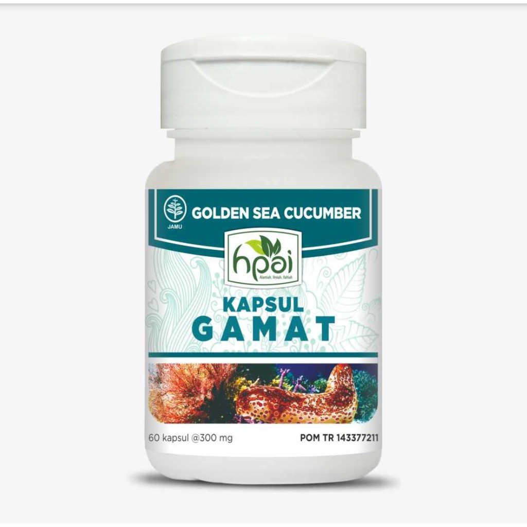 KAPSUL GAMAT : EKSTRAK GAMAT EMAS