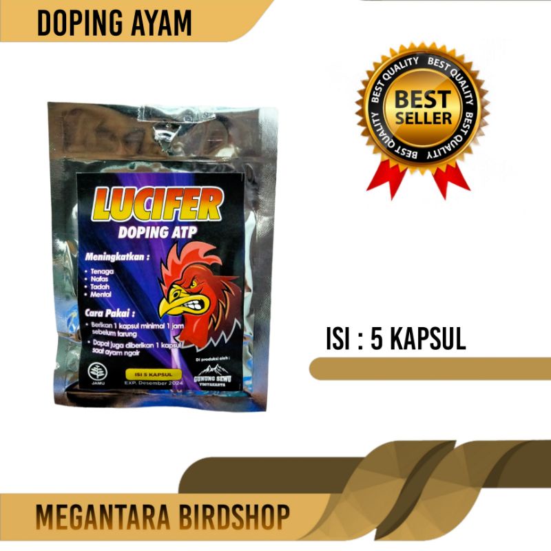 jamu ayam doping atp untuk ayam jago aduan di laga