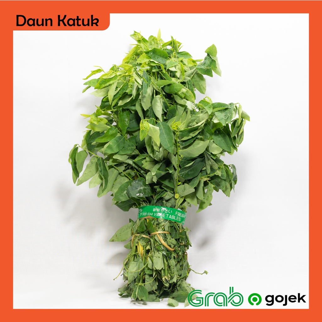 

Daun Katuk 1 gabung (4 iket)