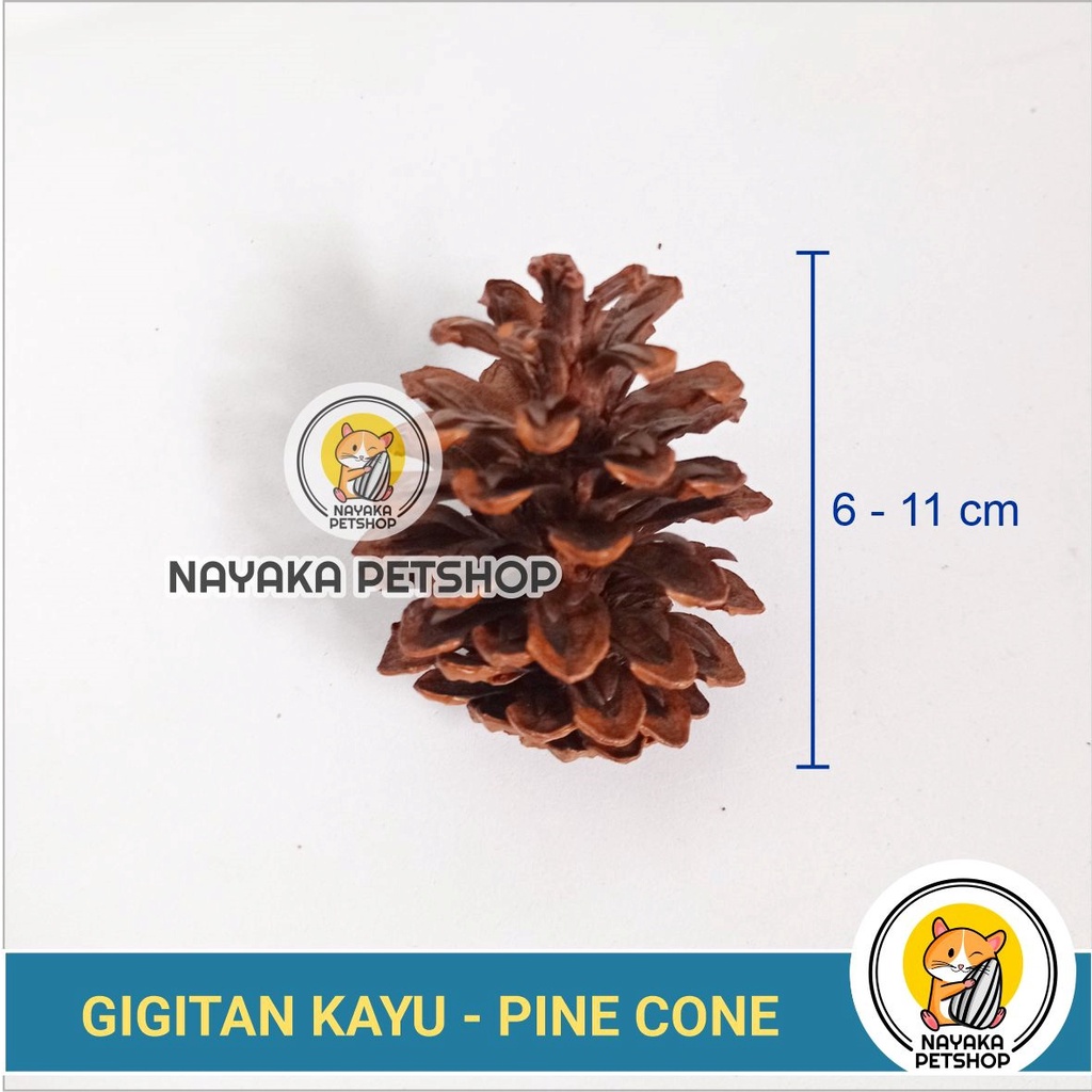 Gigitan Hamster Alami Kayu Biji Pinus Pine Cone Gnawing Wood Natural Asah Gigi Hamster Dental Care