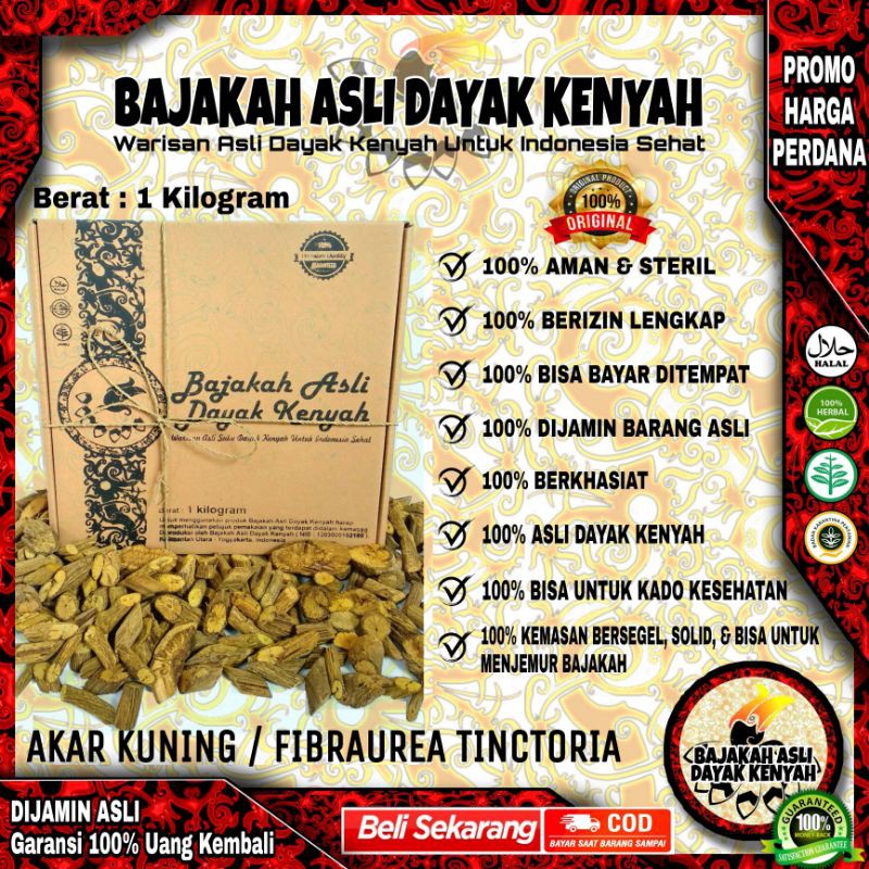 

BAJAKAH AKAR KUNING 1KG - FIBRAUREA TINCTORIA - BAJAKAH ASLI DAYAK KENYAH