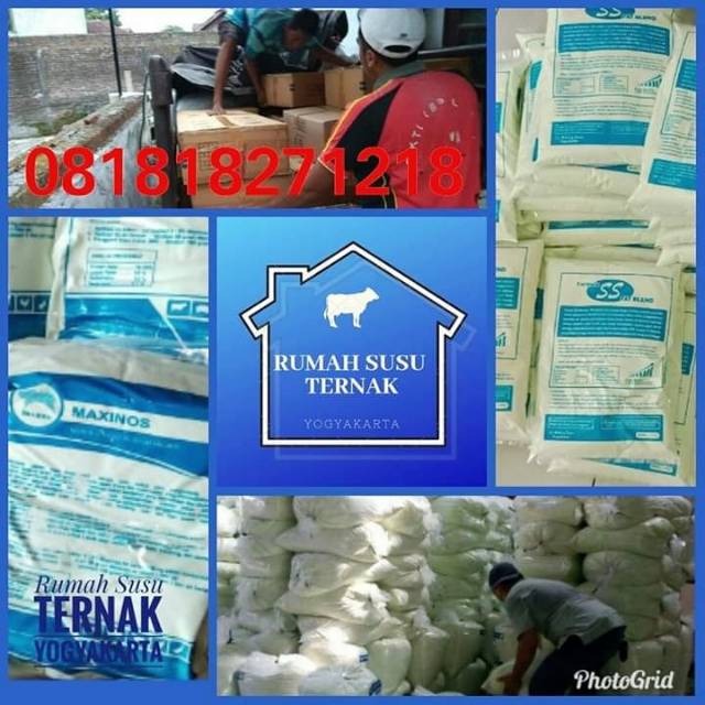 Susu Nutrisi Hewan Ternak Maxinos