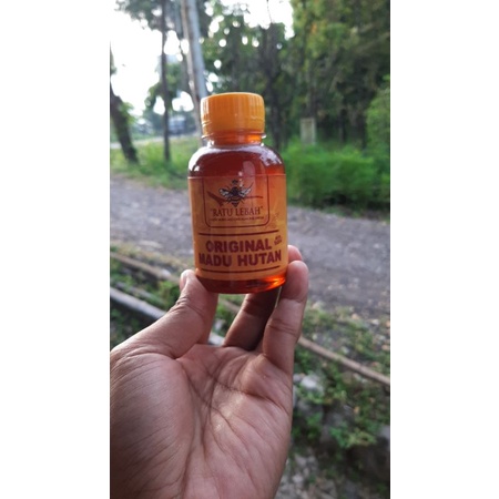 

Madu Hutan Murni