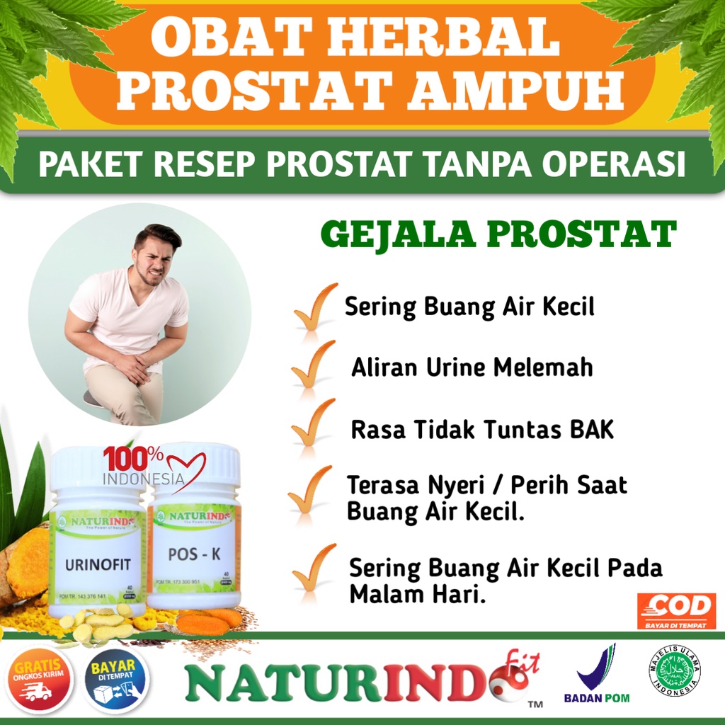 Obat Herbal Sulit Kencing Sakit Prostat Infeksi Saluran Kencing Anyang Anyangen Atasi Batu Ginjal Sa