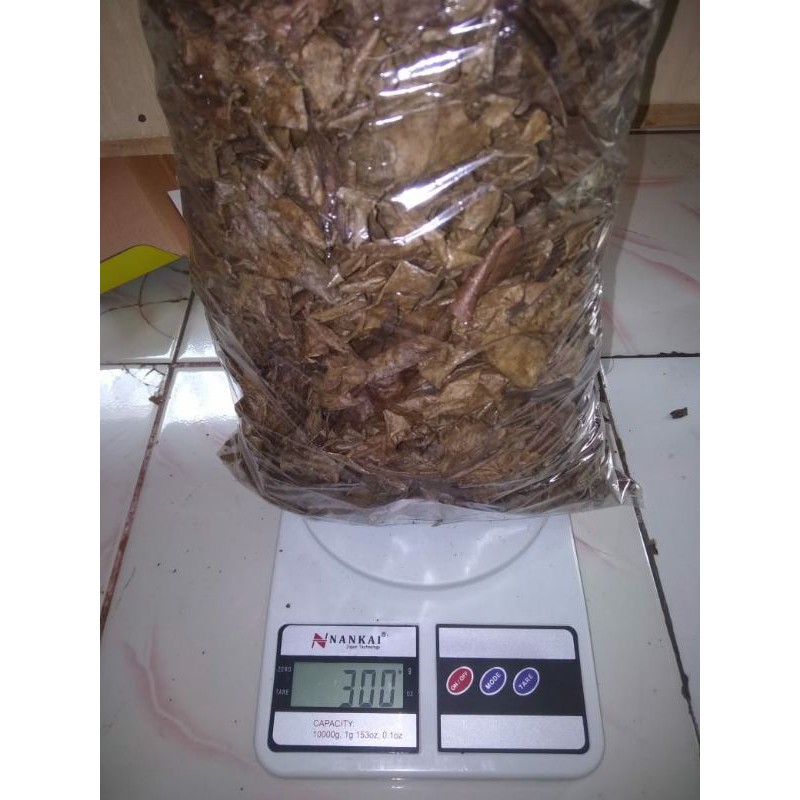 

DAUN.KETAPANG.LAUT