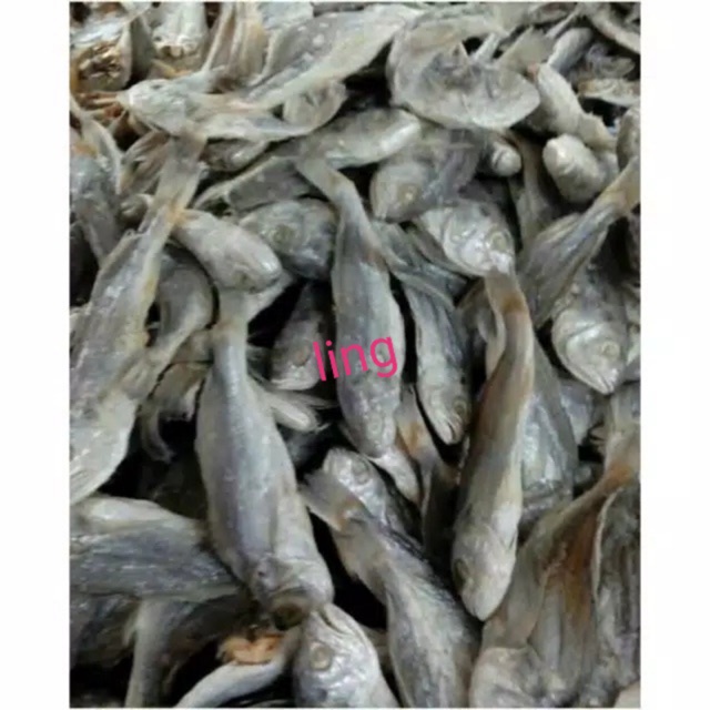

Ikan asin (kepala batu) samge 500 gram