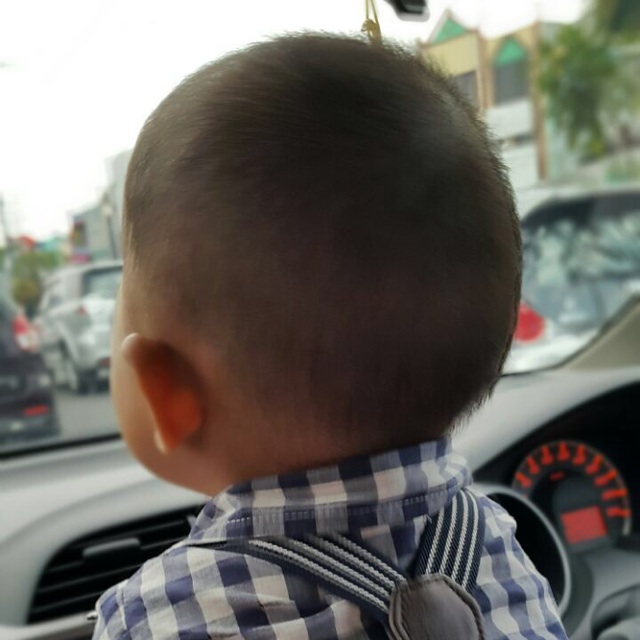 zhabi