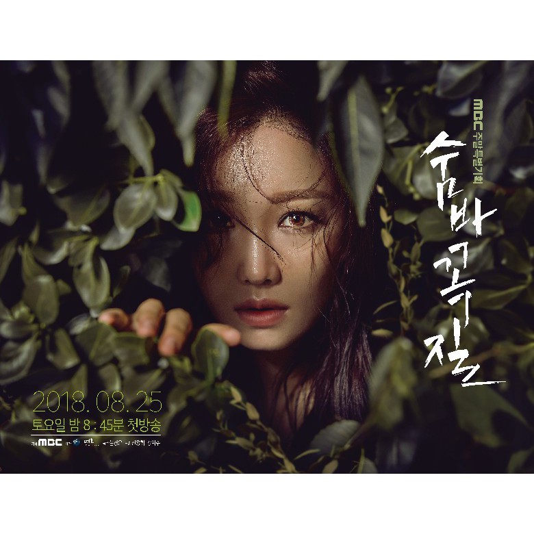 Kdrama Hide and Seek (2018)