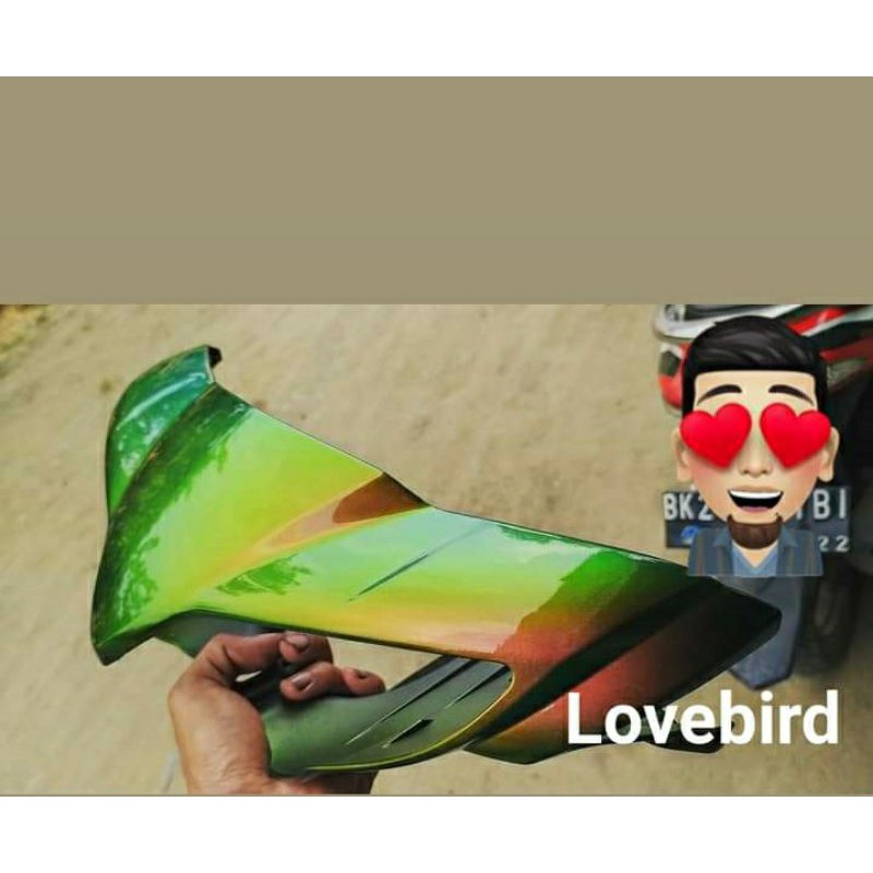 bunglon lovebird, chameleon pigment, cat bunglon